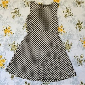 Talbots Size MP Cream & Navy Polka Dot Dress